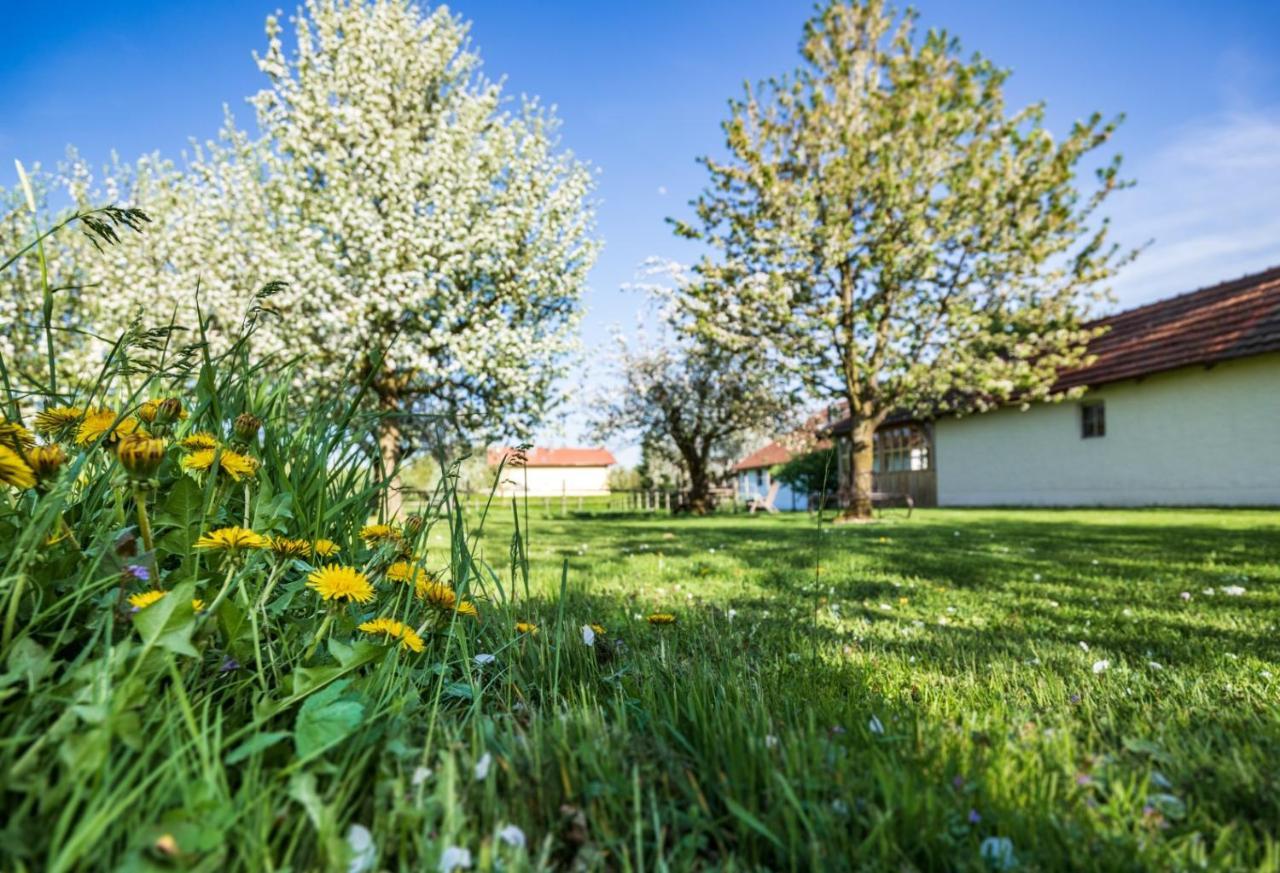Landhaus Kreileder Bad Griesbach im Rottal Esterno foto